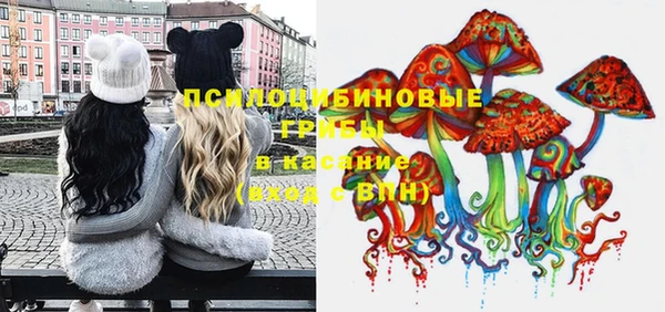 таблы Верхний Тагил