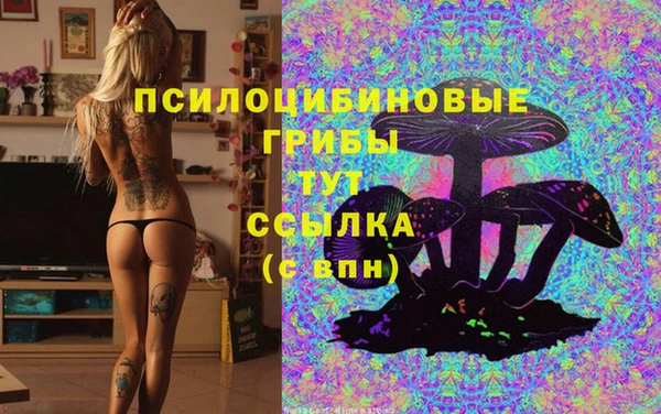 таблы Верхний Тагил